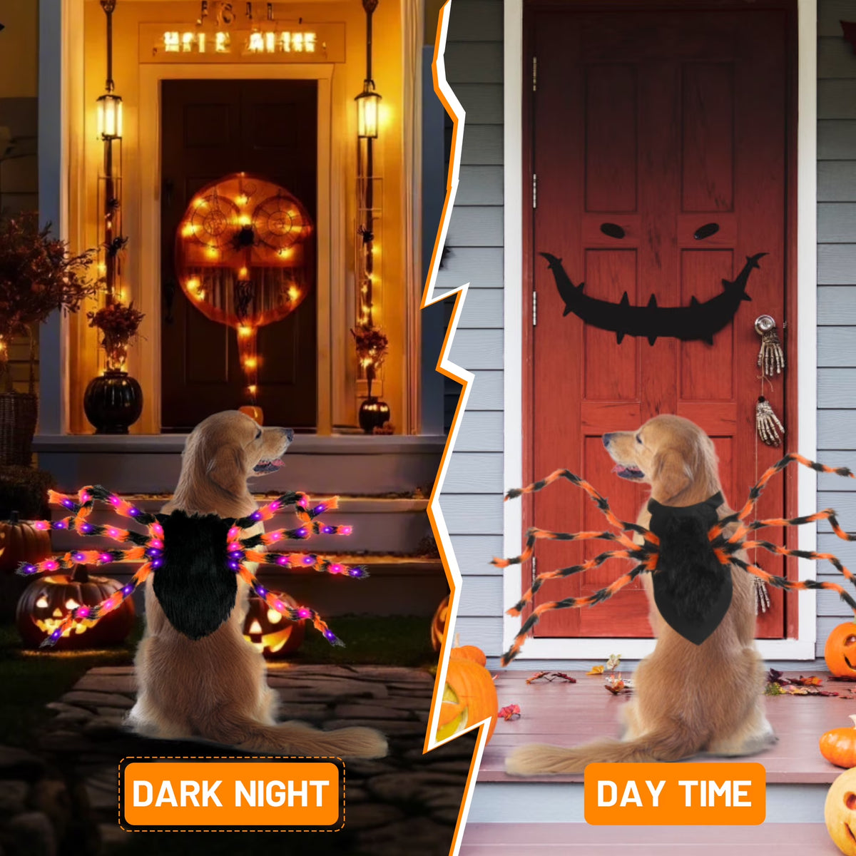 Light-Up Giant Spider Dog Costume with 48 Leds, Small