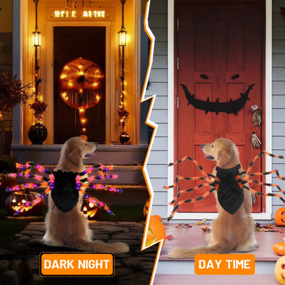 Light-Up Giant Spider Dog Costume with 48 Leds, Small