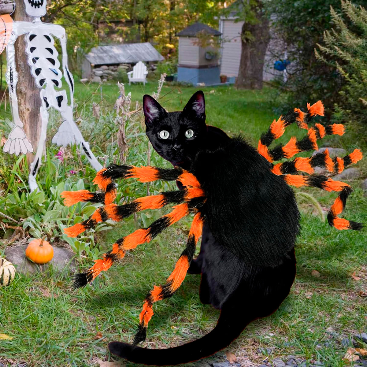 Light-Up Giant Spider Dog Costume with 48 Leds, Small