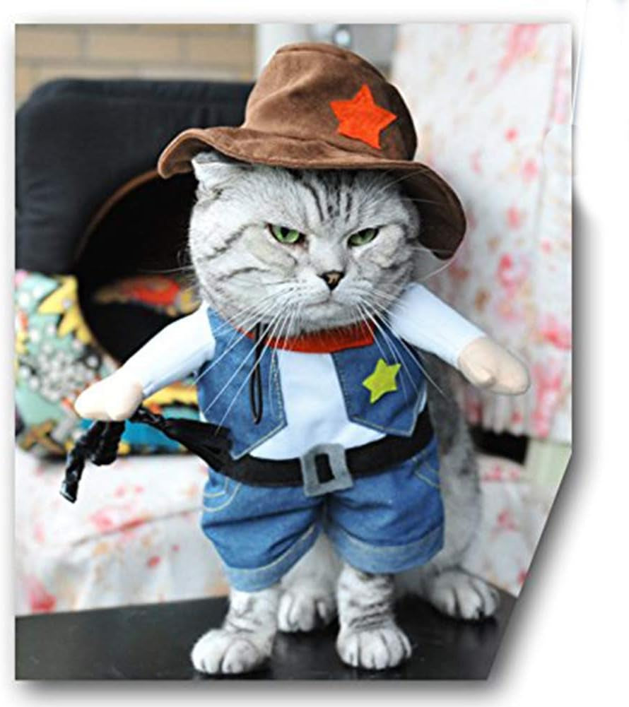 Cowboy Pet Costume with Hat for Cats and Small Dogs, Small