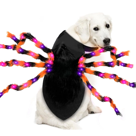 Light-Up Giant Spider Dog Costume with 48 Leds, Small